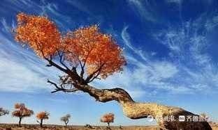 文章附图